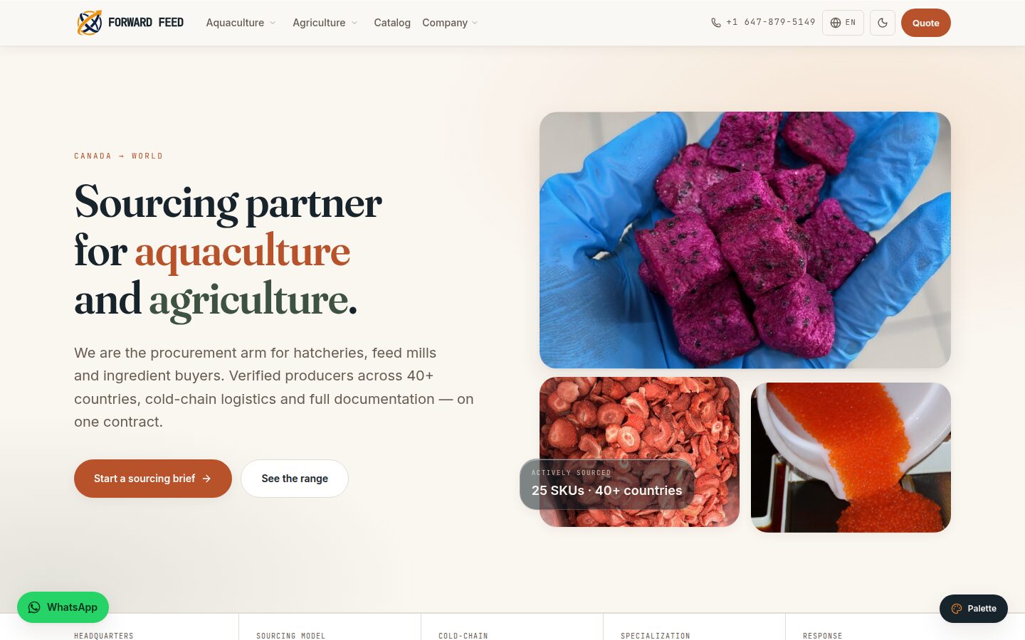 Forward Feed — Global B2B Sourcing platform preview